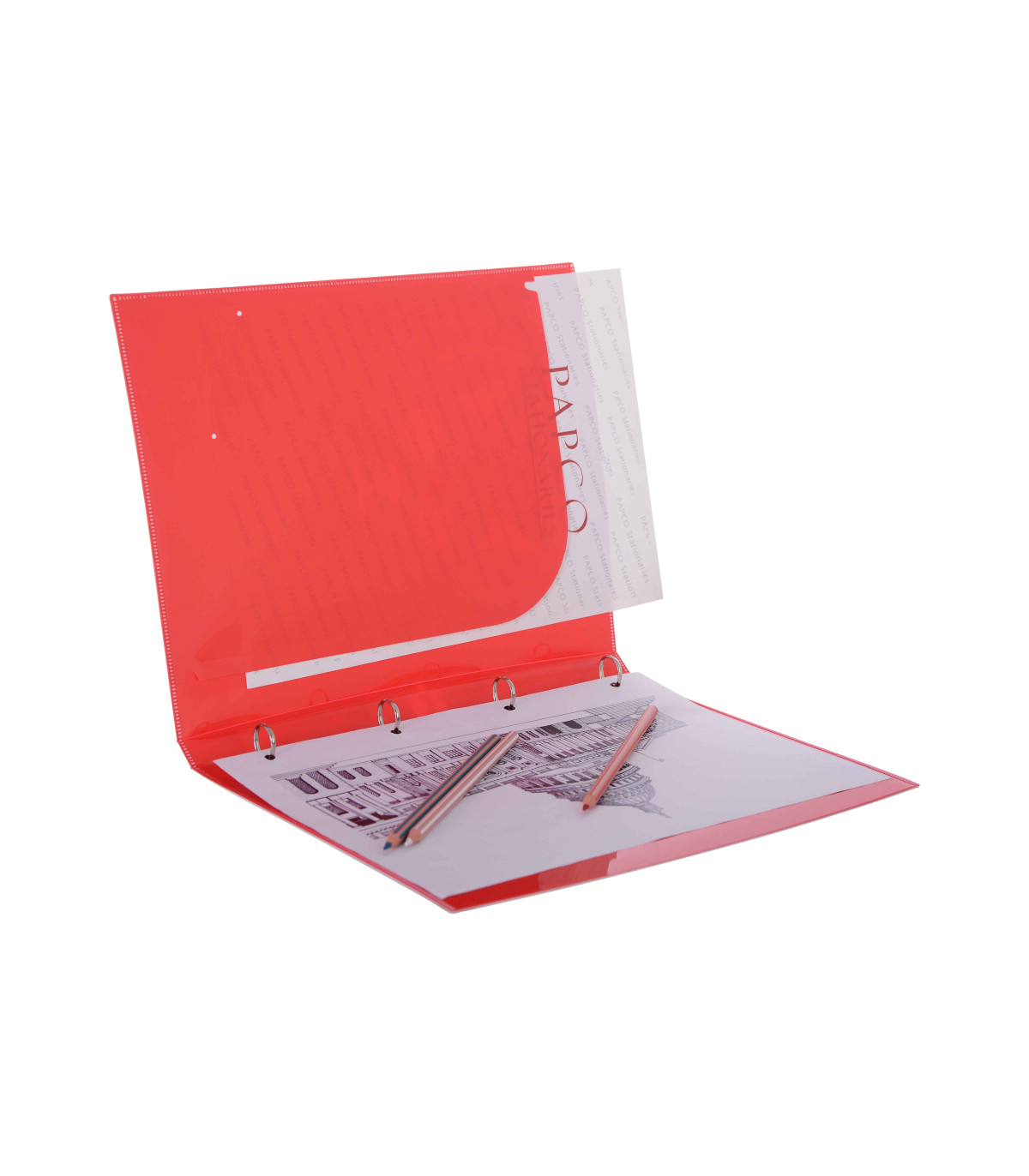 کلاسور فانتزی گربه ای