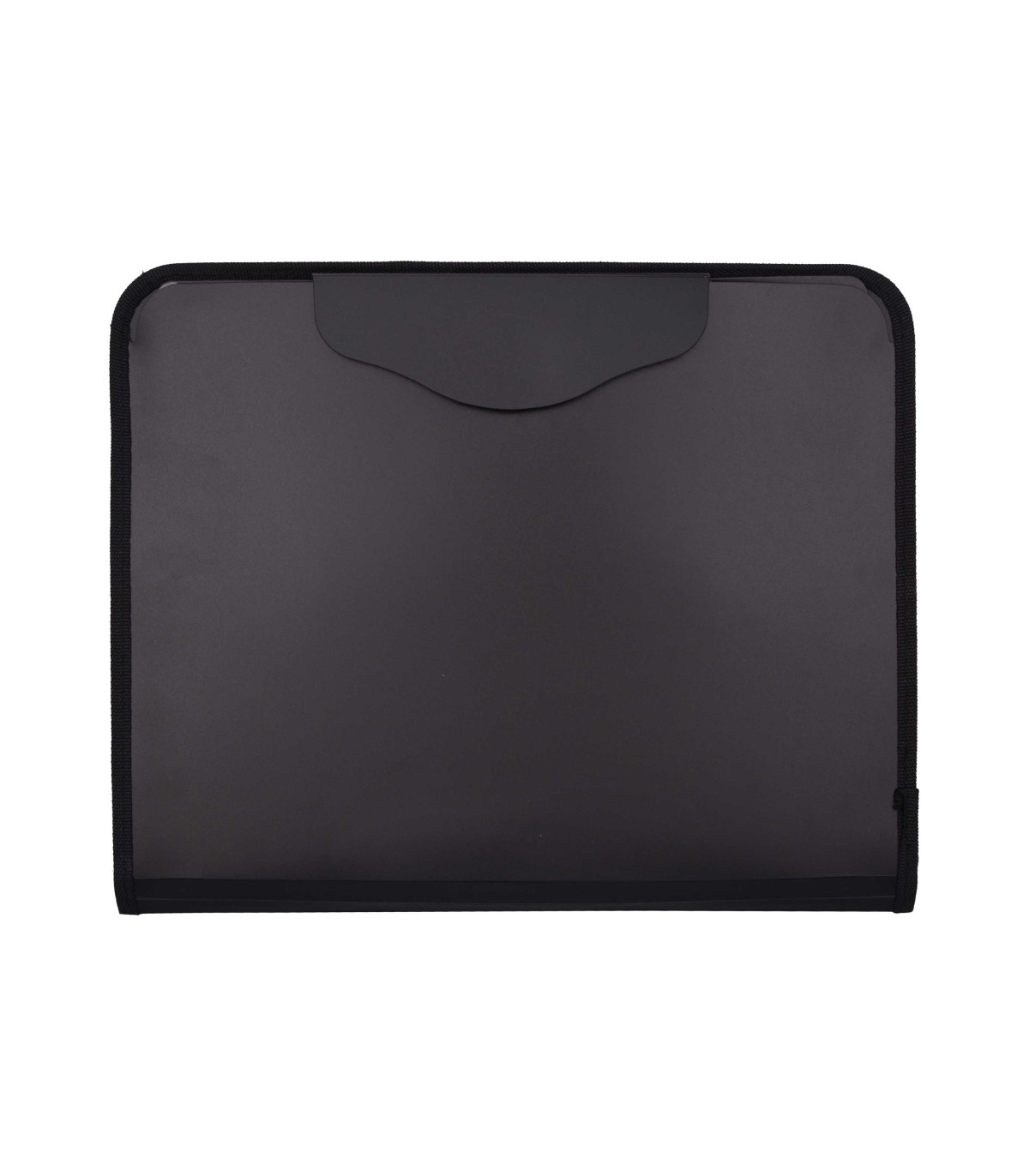 کیف دیپلمات 2