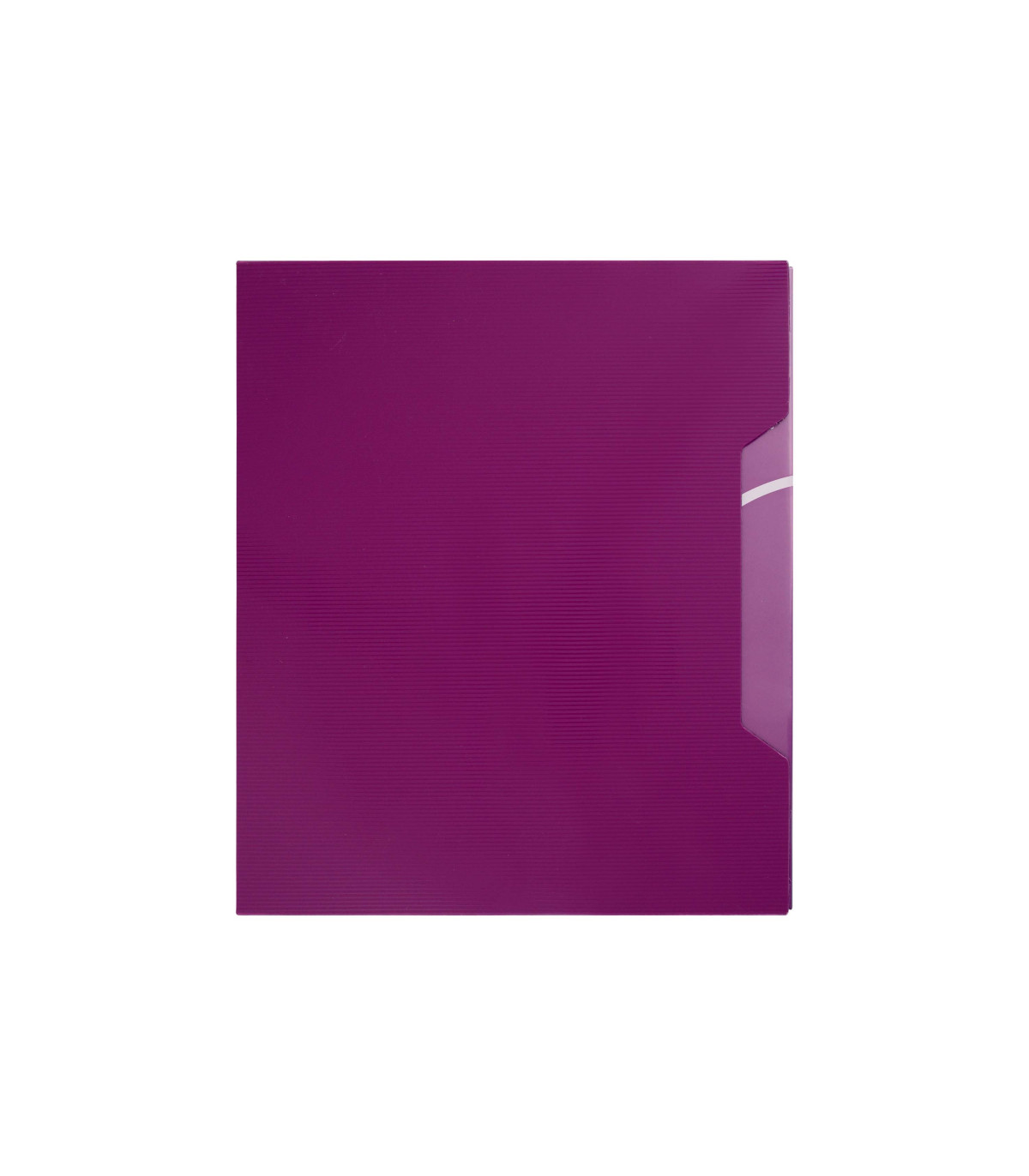 آلبوم کارت ویزیت متالیک قابدار