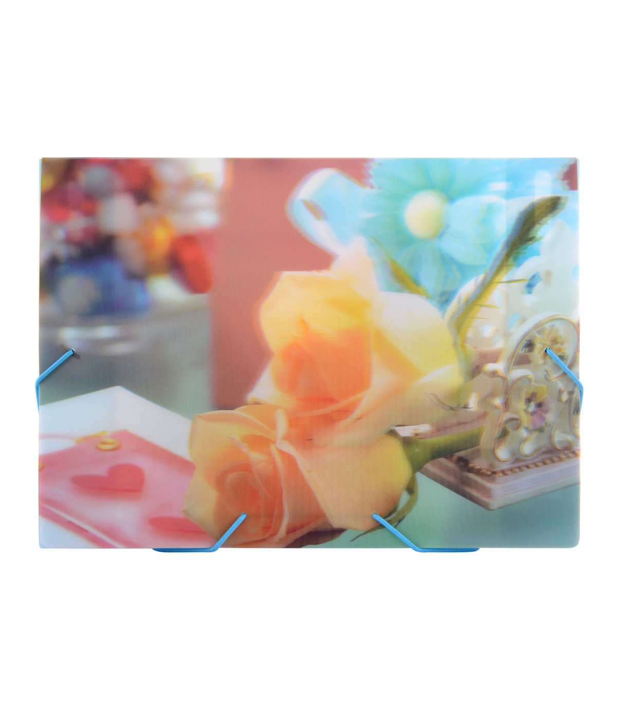 کیف مدارک کش دار طرح دار