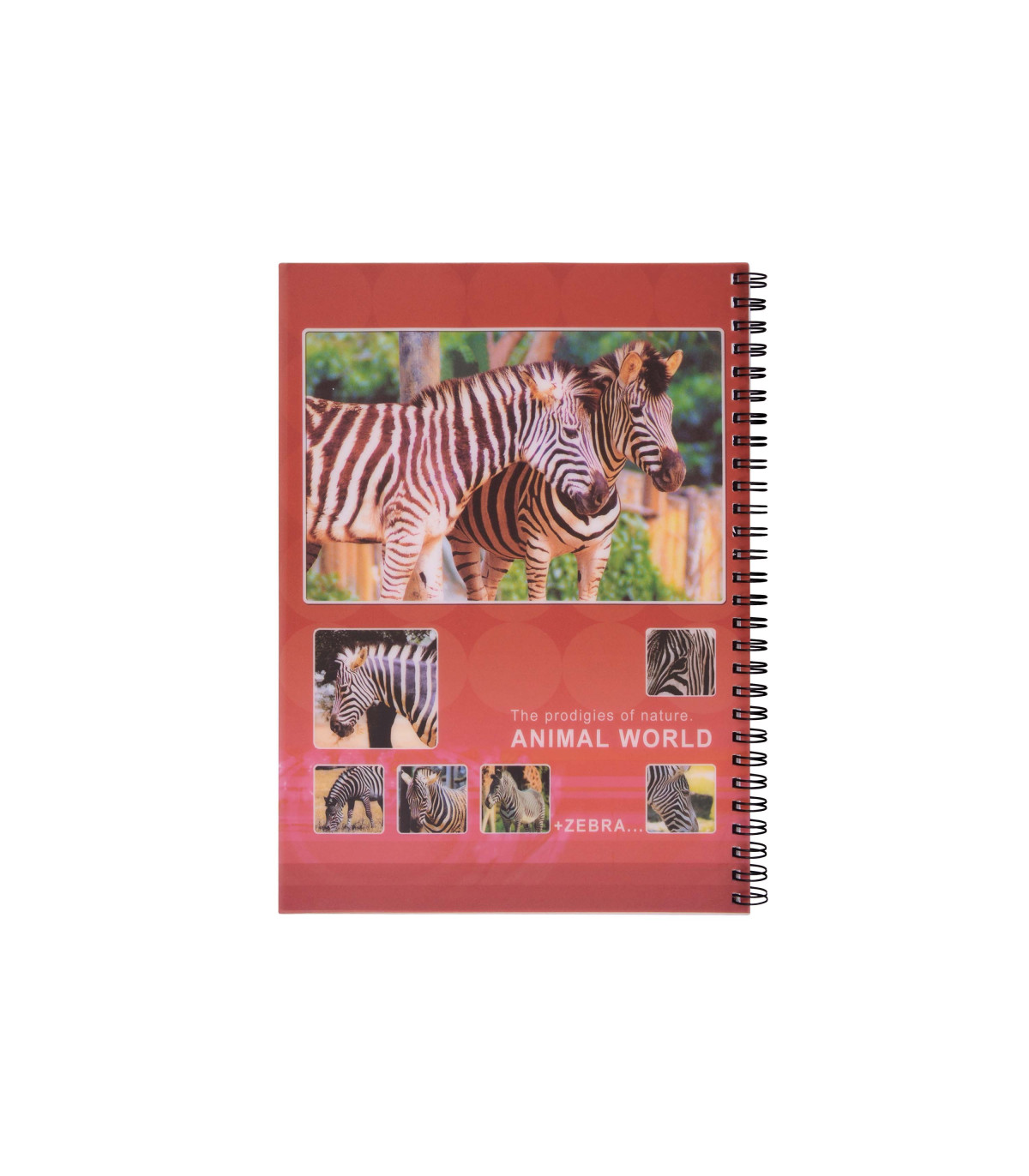 دفتر طرح دار فارسی  60 برگ