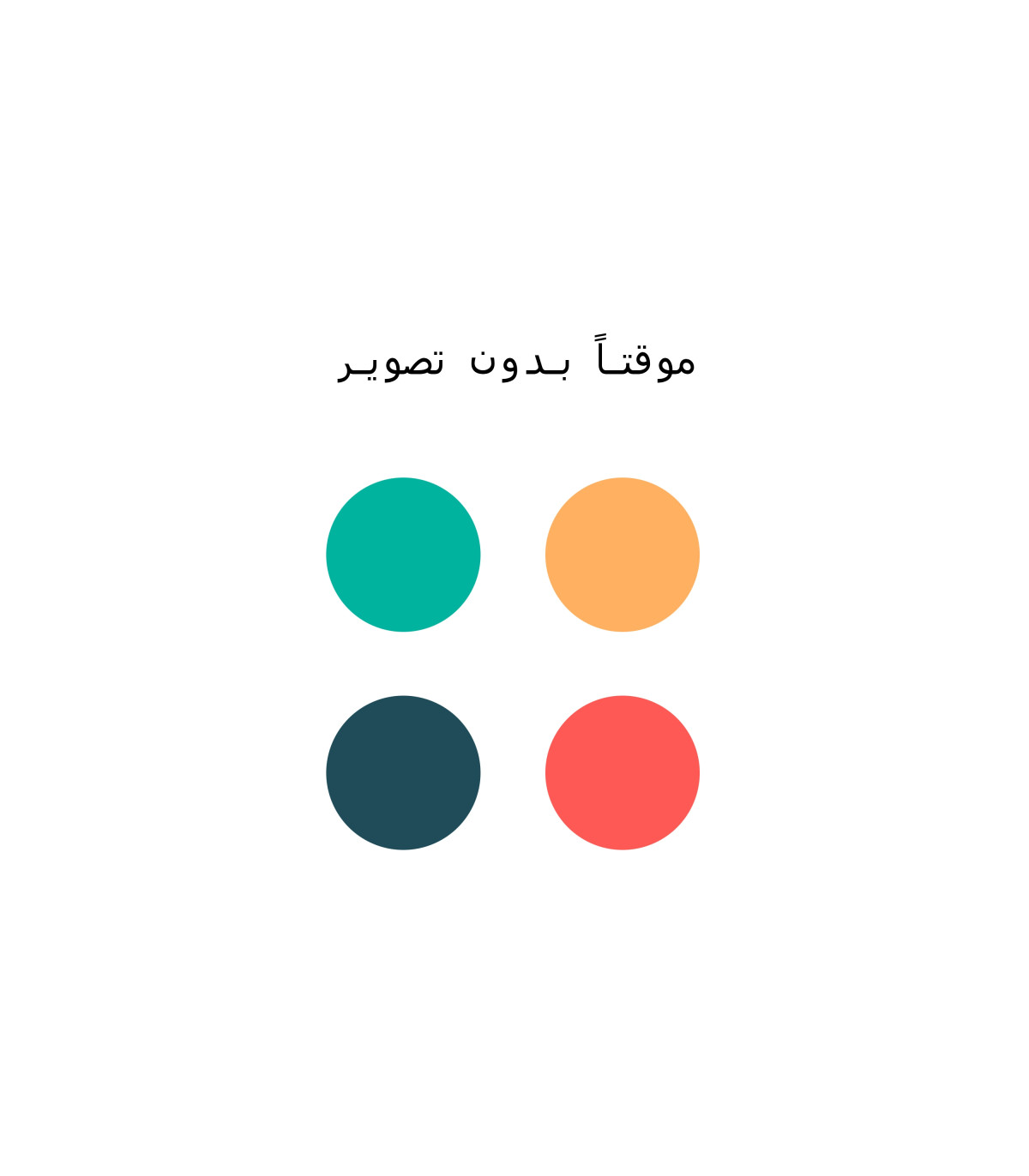 دفتر دکمه دار متالیک 100 برگ