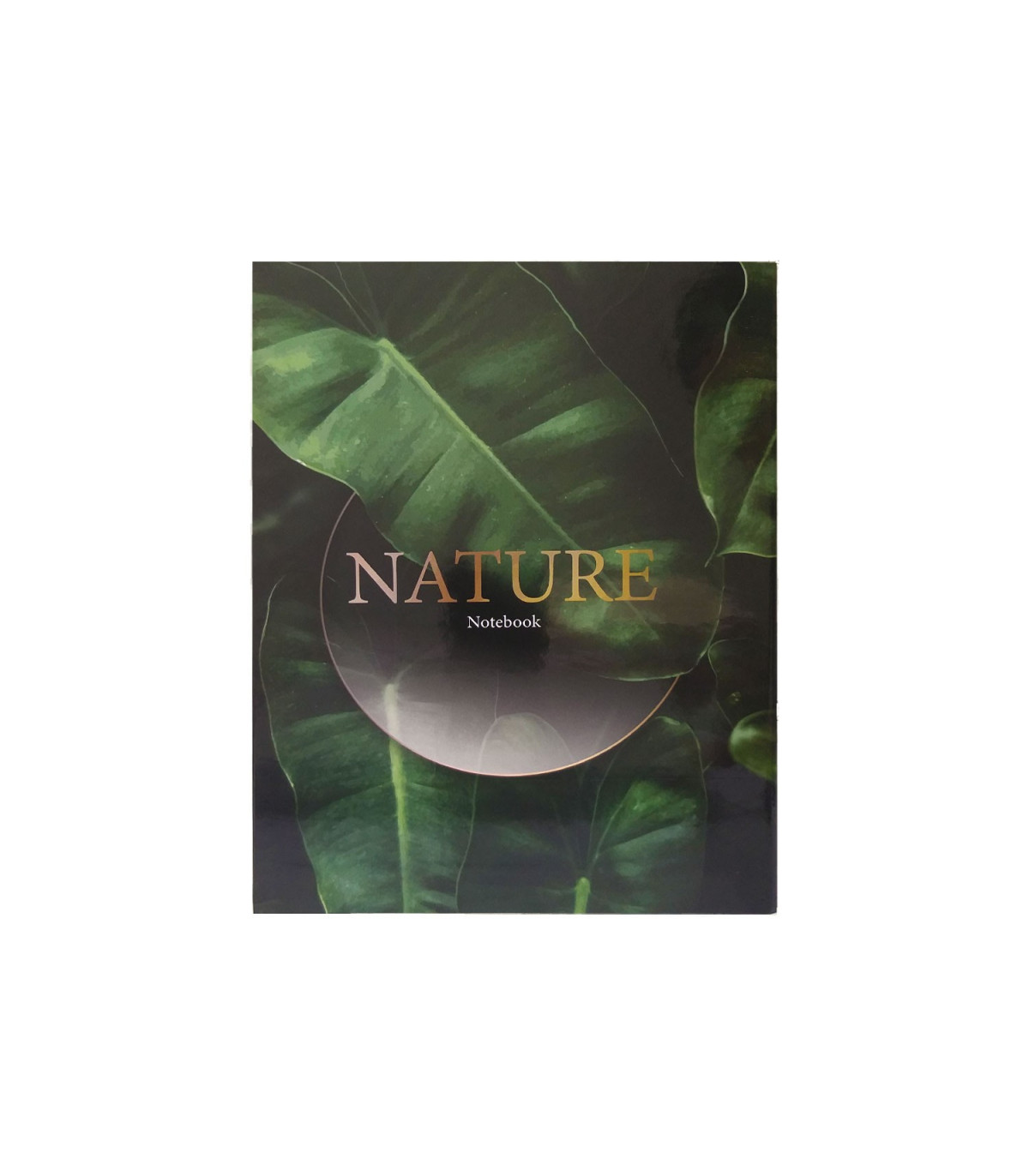 دفتر کلاسوری جلد سخت 100 برگ