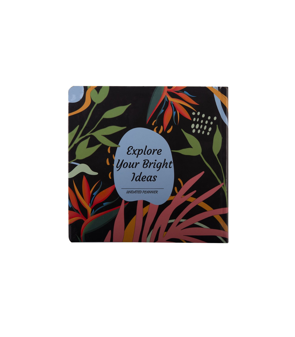 دفتر پاپکو پلنر 4 بدون تاریخ