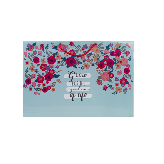 پک هدیه پلنر