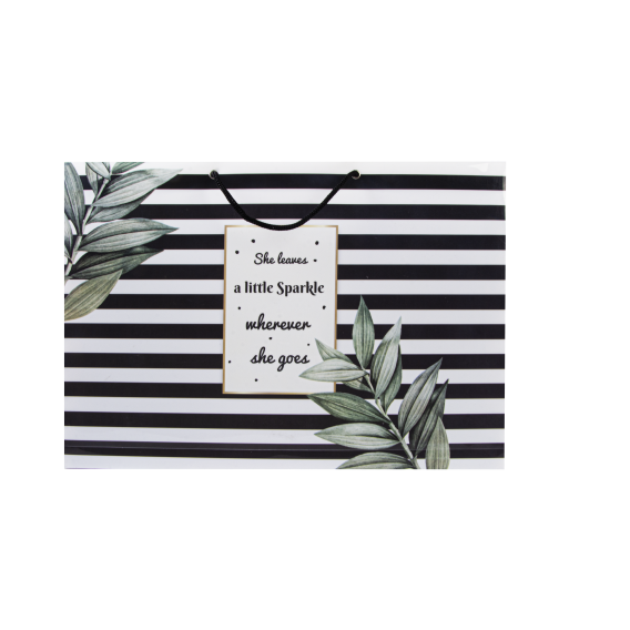 پک هدیه پلنر