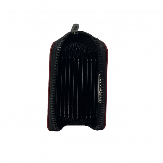 جا کارتی اکسپندینگ