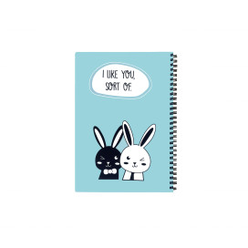 دفتر-جلد-PP-پاستلی-سابز-B5-یک-خط-100-برگ-فنر-دوبل-از-کنار-001