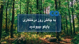 به چالش روز درختکاری پاپکو بپیوندید!