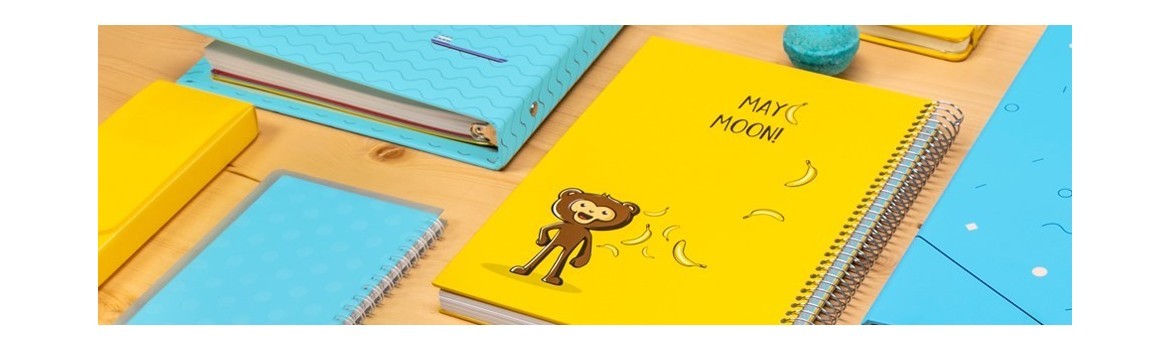 Which notebook is right for you?